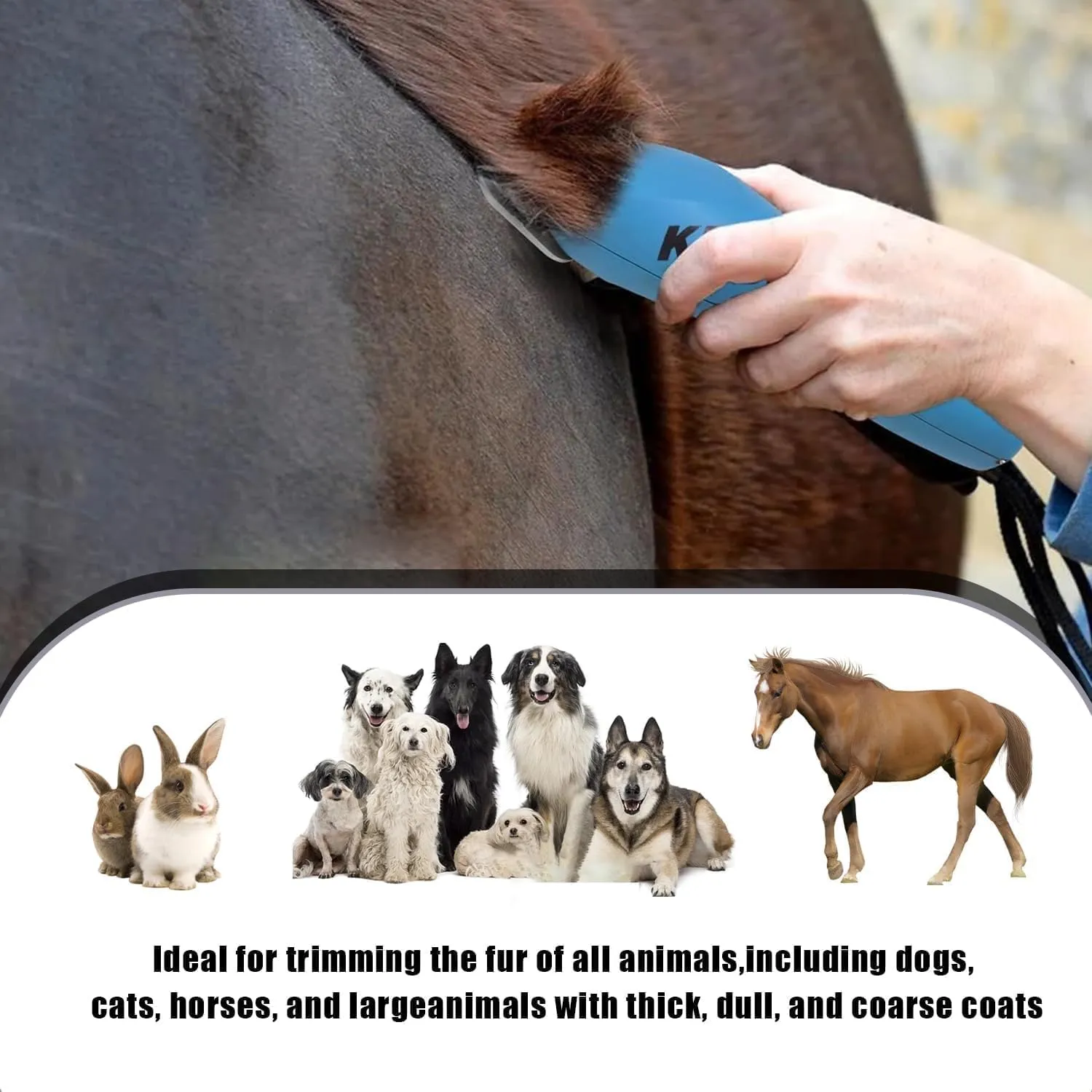 5PCS Wide Blade Dog Grooming Blades Compatible with Andis Dog Clipper,Dog Grooming Wide Blade compatiblewith Wahl km10 Clippers/Oster A5 Type Blade,for Animal Dog,Cat,Horse (30W 10W 7FW 5FW 4FW)