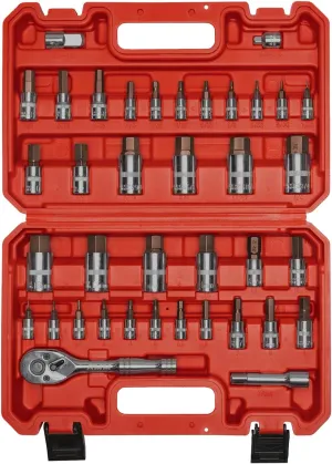 AMM 38PCS Master Allen Socket Set，SAE and Metric Hex Bit Socket Set，1/4"， 3/8"，1/2" Drive，H1.5 ~ H19 & H1/16 ~ H3/4，3/8" Ratchet，Extension Bar and Socket Adapters