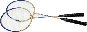 Badminton Rackets Set of 2 for Outdoor Backyard Games, Including 2 Racquets,4 Shuttlecocks, 4 Replacement Grip Tapes & 1 Carry Bag