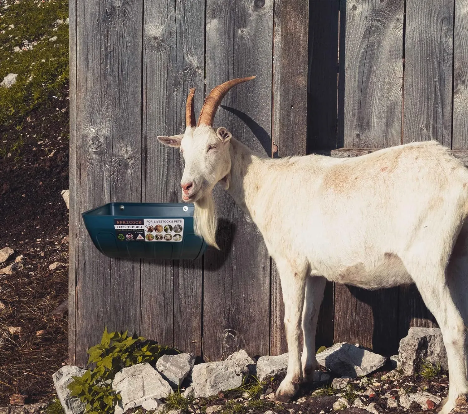 Chicken Feeder Waterer, Goat Feeder - 2 Pack, 5.5 Quart, for Goats Chickens Duck Sheeple Dogs Piglets Deers Gooses, Turkeys, Goat Supplies(Appearance Patent Product)