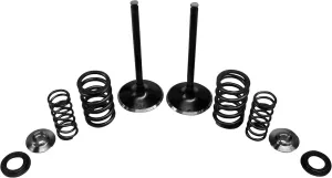 Kibblewhite Precision 96-96450 Intake Only Stainless Conversion Valve/Spring Kit