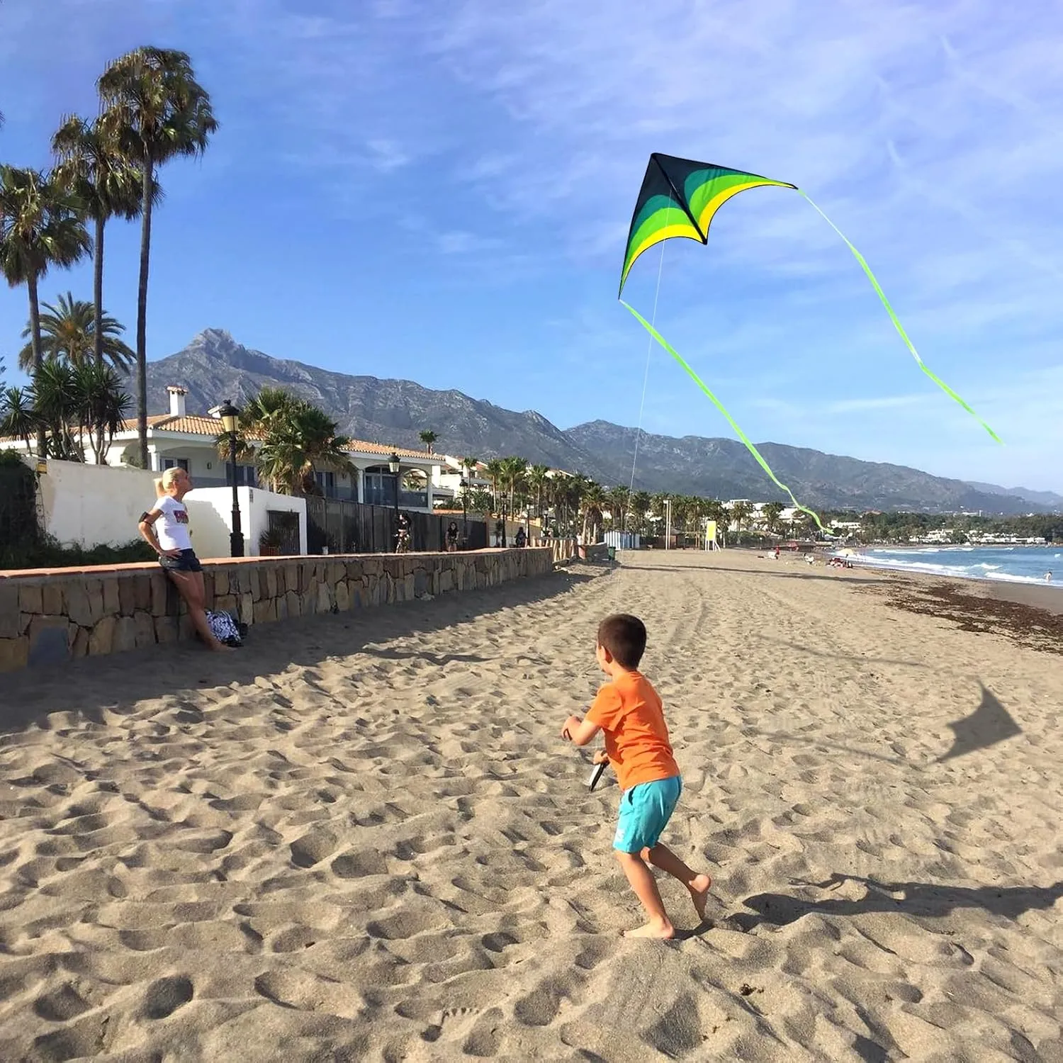 Large Delta Kite Easy to Fly with Kite Reel Set, Beach Kite & Kite Spool for Kids & Adults, Single Line Triangle Kite with 7.1 Inch Kite Wheel Kit