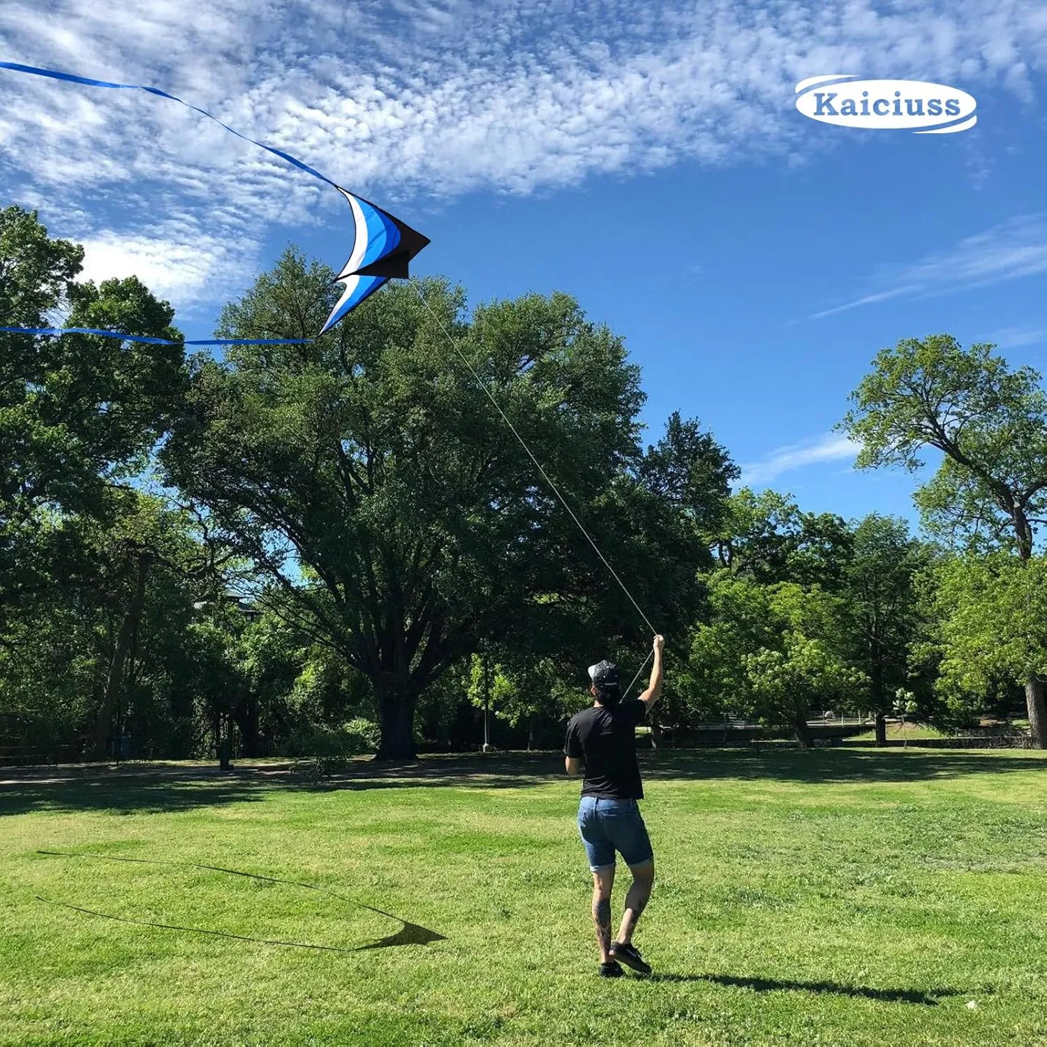 Large Delta Kite Easy to Fly with Kite Reel Set, Beach Kite & Kite Spool for Kids & Adults, Single Line Triangle Kite with 7.1 Inch Kite Wheel Kit