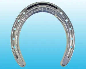 Queen Hind T/C (10 Pairs/Box)