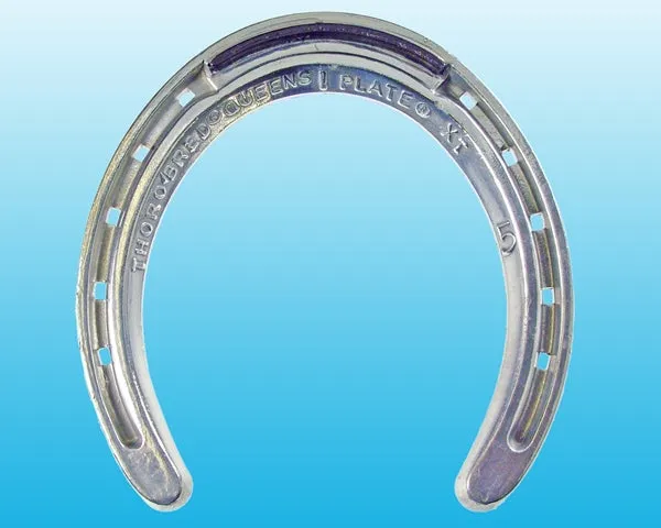 Queen Hind XT (10 Pairs/Box)