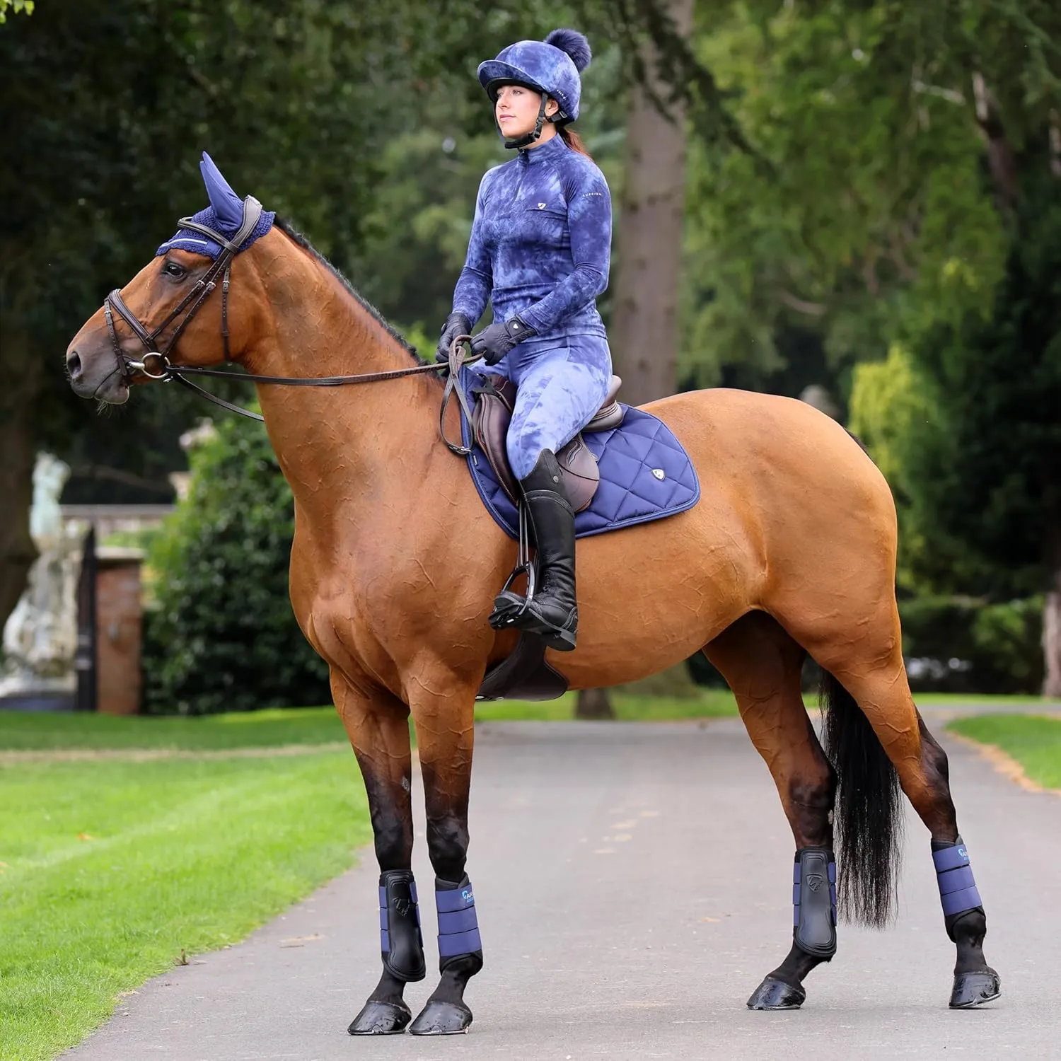 Shires Women's Non-Stop Riding Tights