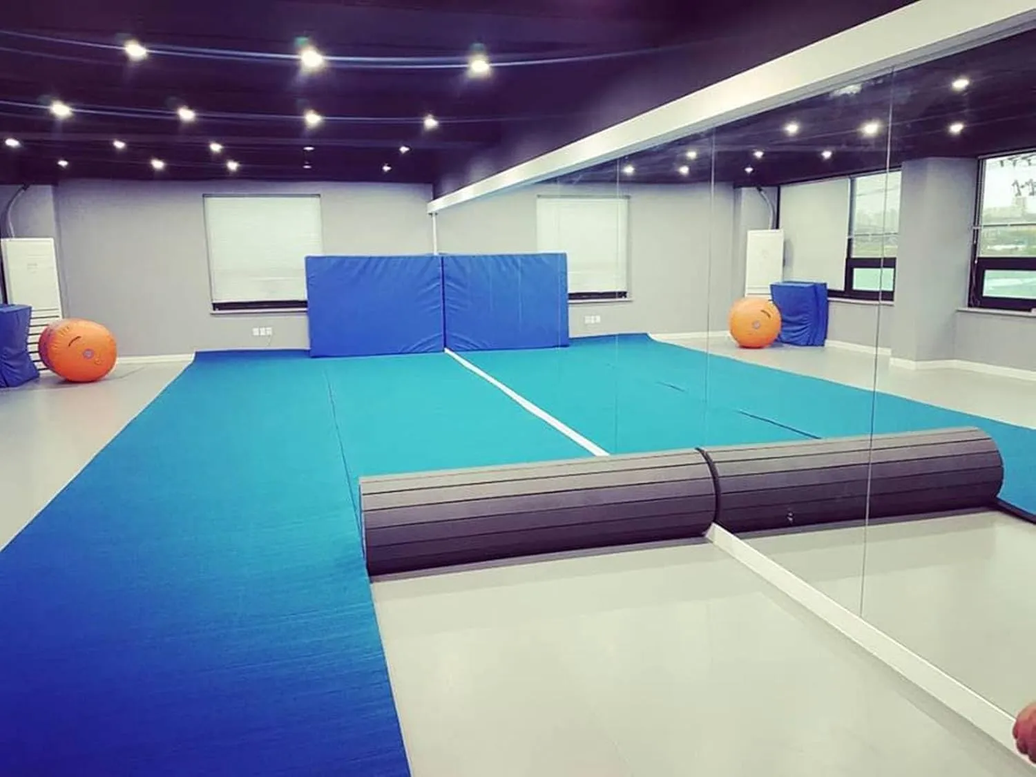Sturdy Foam Wrestling Mat,Premium Indoor Gymnastics Track Exercise Mat With Gym Carpet Top - For Mma, Cheerleading, And Fitness- Roll Out Design