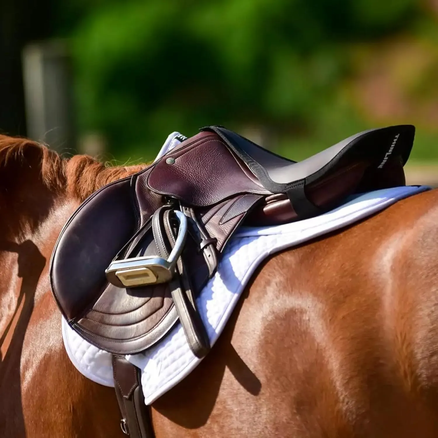 Thinline Cotton Quilted Jumper Durable Breathable Horse Riding Washable Shock-Absorbing no-Slip Thin Equine Saddle Pad - Equestrian Equipment and Accessories