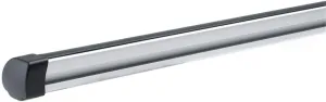 Thule ProBar Heavy Duty Load Bars (Set of 2)