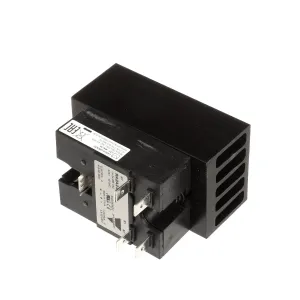 Turbochef Relay, Ss Dual 30A W/Heat Sink