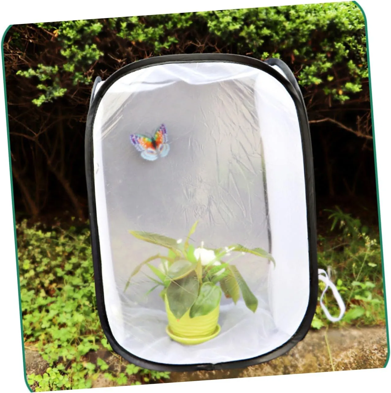 Vaguelly Foldable Catching Kit 30x30cm Tent Butterfly Habitat Boys and Girls House Outdoor Toys Random Color