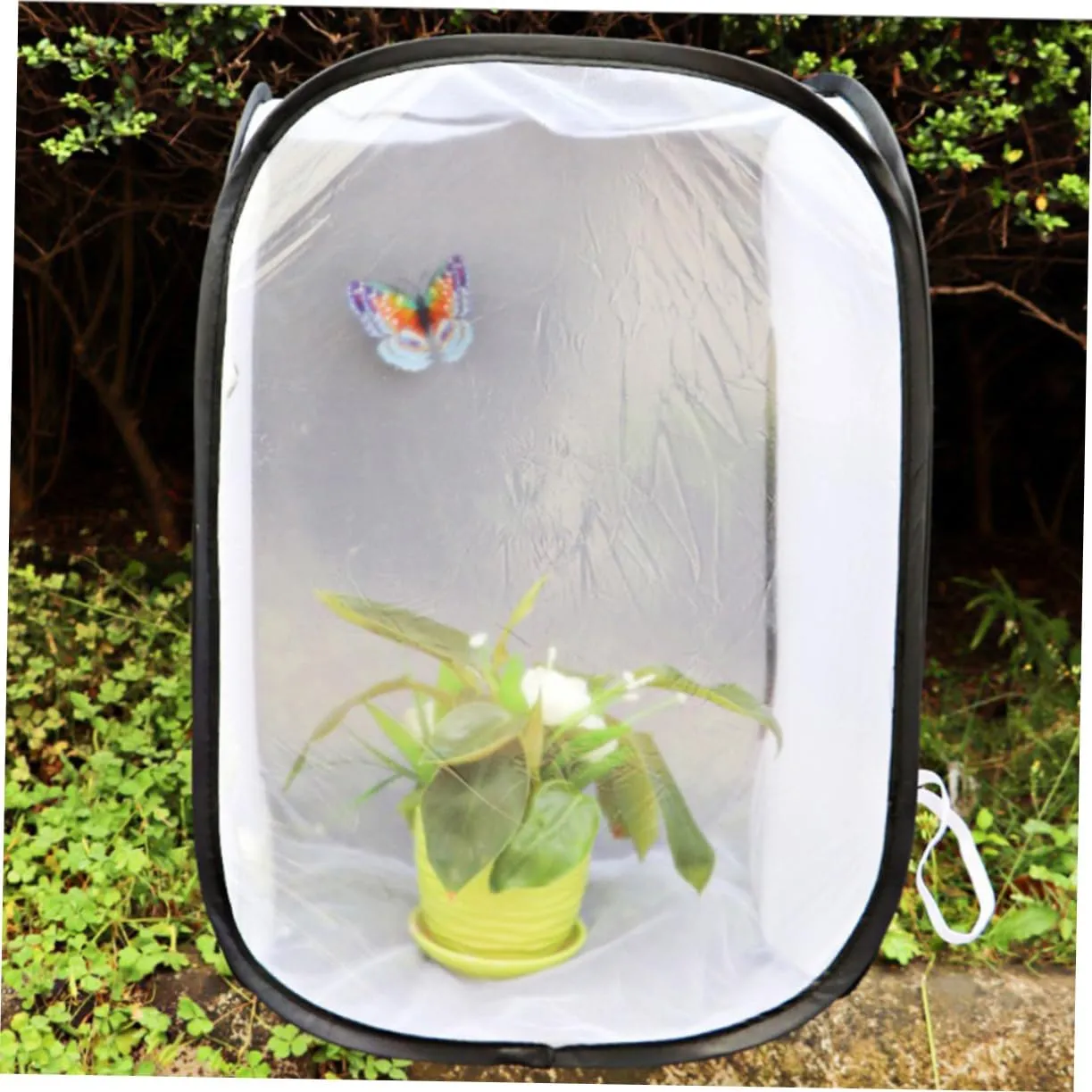 Vaguelly Foldable Catching Kit 30x30cm Tent Butterfly Habitat Boys and Girls House Outdoor Toys Random Color